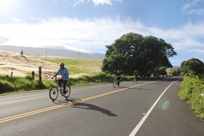 Predawn-Morning Haleakala Bike Tour 6,500 to Sea Level - Practical Details: Logistics and Tips