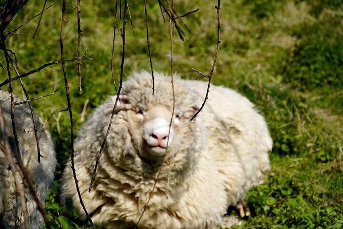 Prehistoric Britain: Ancient Caves, Stonehenge & Haunted Forest - A Deeper Look at the Itinerary