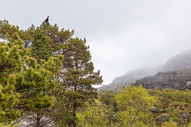 Preikestolen Hidden Trail Hike + Lunch and Canoe Trip - The Descent and Wrap-Up