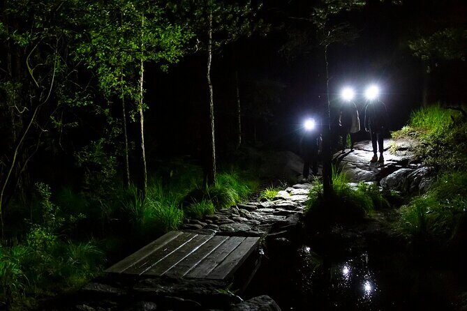 Preikestolen Sunrise Hike And Breakfast Buffet - Logistics and Practical Info