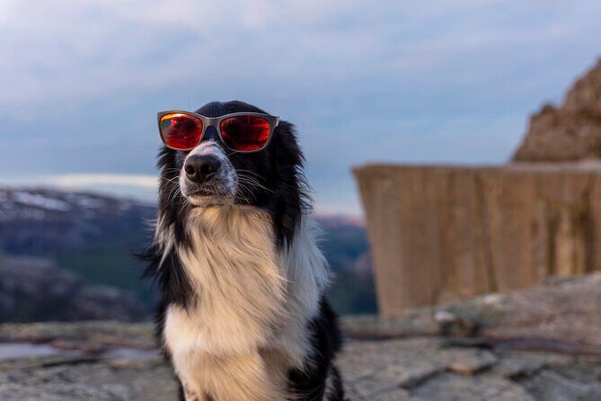 Preikestolen Sunrise Hike And Breakfast Buffet - Who Would Love This Tour?