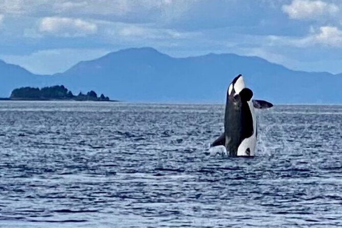 Premier Land and Sea Discount Package - Cultural and Historic Highlights