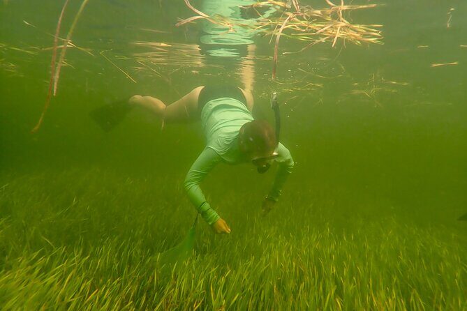 Premier Scalloping Adventure on Florida's Nature Coast - Frequently Asked Questions