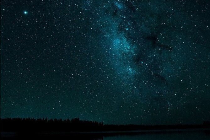 Premier Wildlife Tours in Saguaro National Park - Who Should Consider This Tour?