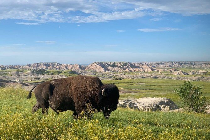 Premiere Private Badlands Day Tour - A Deep Dive into the Tour Details