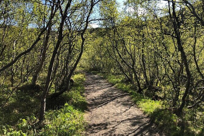 Premium 4x4 Diamond Circle Tour - Who Is This Tour Best For?