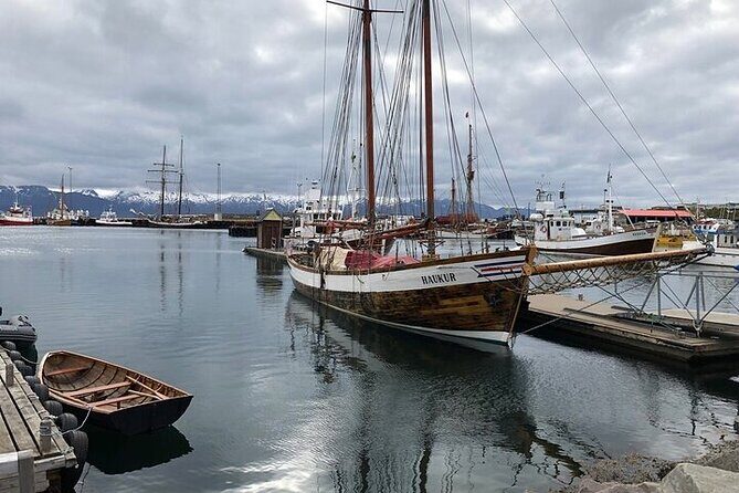 Premium 4x4 Diamond Circle Tour - Final Thoughts