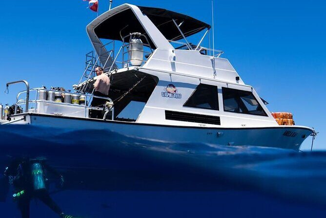 Premium Afternoon Scuba Charter for All Certified Diver Levels - Key Points