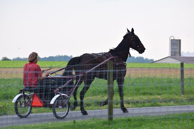 Premium Amish Country Tour including Amish Farm and House - FAQs