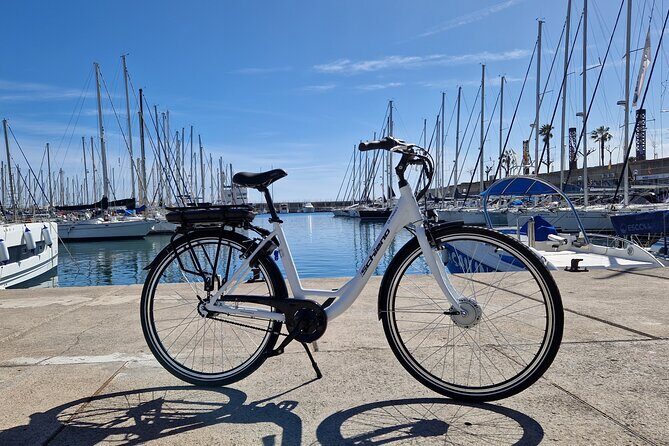 Premium Bike Rental in Barcelona - Key Points