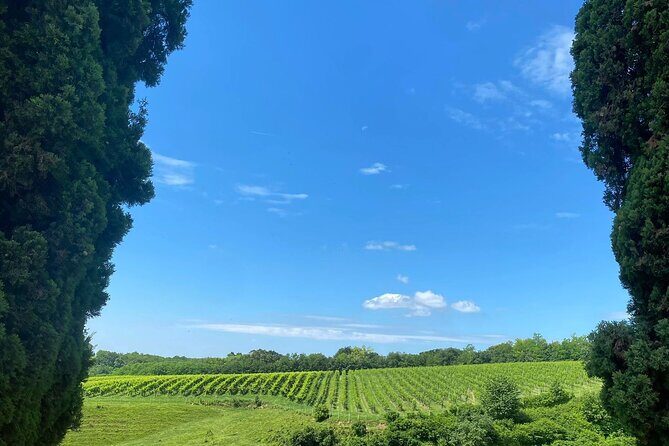 Premium Cheeses and Gins Tour in the Prosecco hills. Full lunch! - The Itinerary in Detail