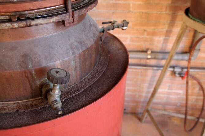 Premium Cheeses and Gins Tour in the Prosecco hills. Full lunch! - What We Think About the Value