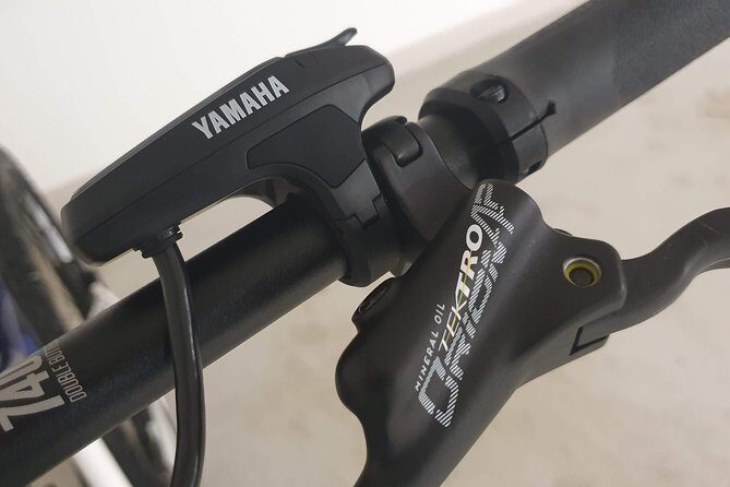 Premium eBike rental - Discovering Bodø on an eBike: The Details