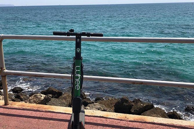 Premium electric Scooter rental with optional delivery - Practical Details and Cost Analysis