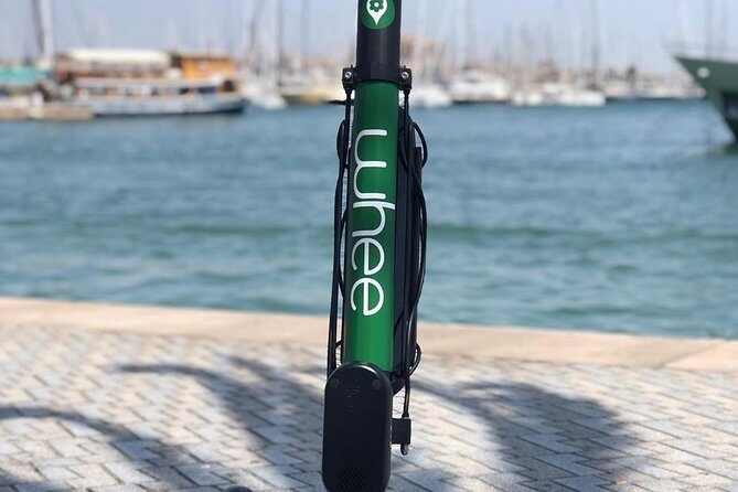 Premium electric Scooter rental with optional delivery - Who Would Enjoy This Experience?