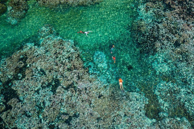 Premium Family Snorkeling Experience - What You Can Expect from This Snorkeling Tour
