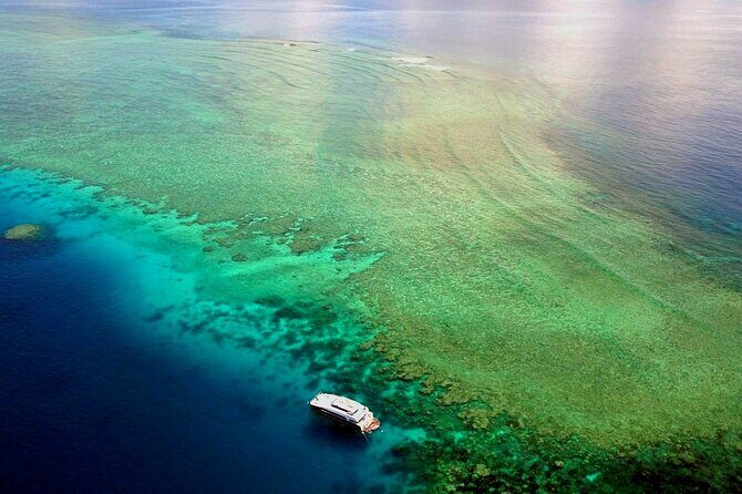 Premium Guided Dive Trip - Outer Great Barrier Reef - Frequently Asked Questions