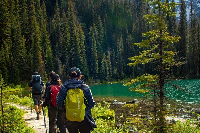 Premium Guided Hiking tours in Banff, Yoho & Kootenay - An In-Depth Look at the Guided Hikes