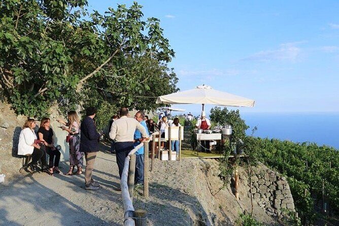 Premium Ischia Wine Tasting Experience with Transfer Included - Key Points