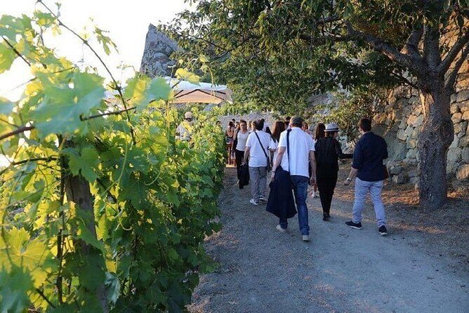 Premium Ischia Wine Tasting Experience with Transfer Included - Final Verdict