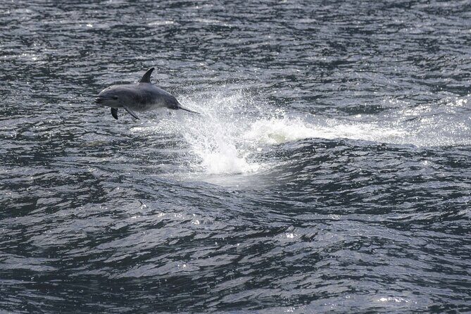 Premium Milford Sound Cruise Including Lunch - Final Thoughts