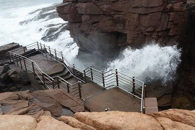 Premium Narrated Bus Tour of Bar Harbor and Acadia National Park (3.5 Hours) - The Sum Up