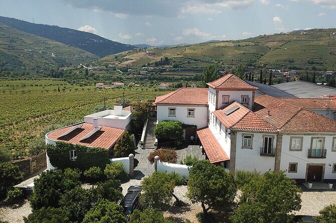 Premium Private Douro Tour: 2 Wineries with Tastings & Cruise - Things to Keep in Mind