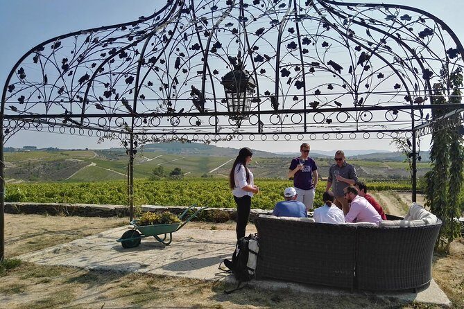 Premium Private Douro Tour: 3 Wineries with Tastings & Lunch - A Closer Look at the Itinerary
