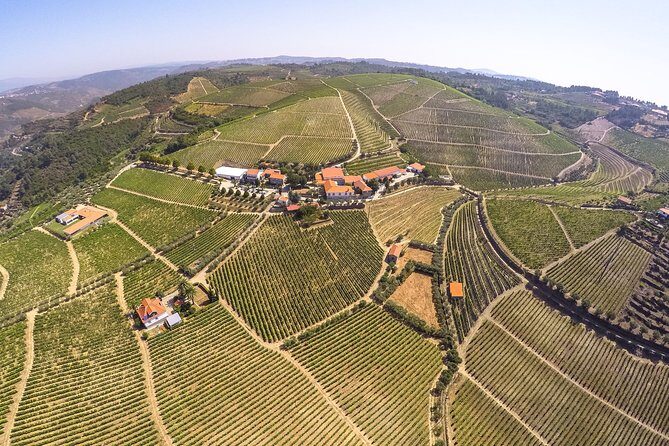 Premium Private Douro Tour: 3 Wineries with Tastings & Lunch - Who Will Love This Tour?