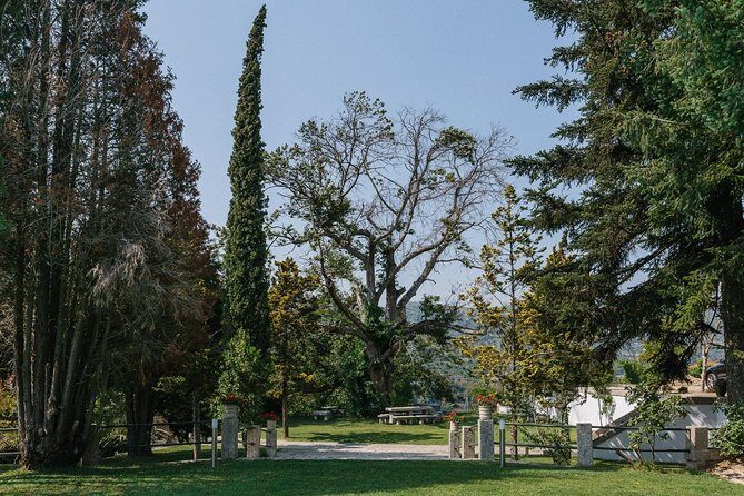 Premium Private Douro & Vinho Verde Tour: Wine Tastings & Lunch - What’s Included and How It Adds Value