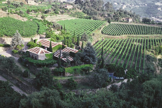 Premium Private Douro & Vinho Verde Tour: Wine Tastings & Lunch - Guides & Personalization