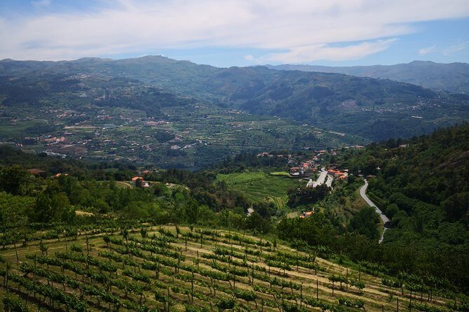 Premium Private Douro & Vinho Verde Tour: Wine Tastings & Lunch - Who Will Love This Tour?
