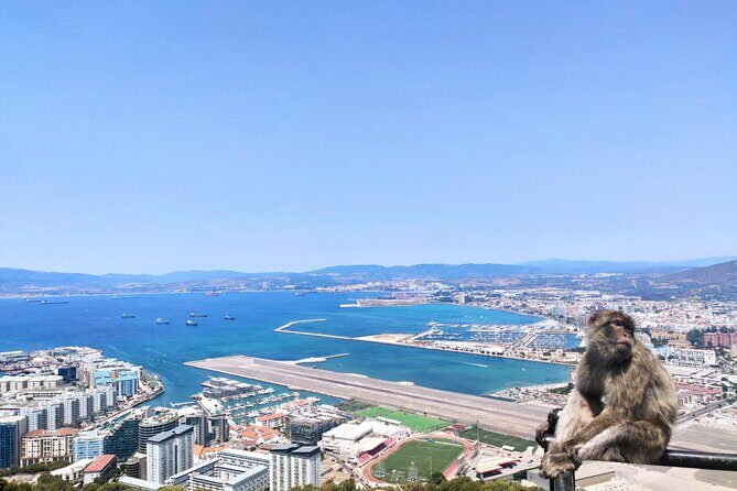 Premium private trip to Gibraltar from Seville (multiple options) - FAQ