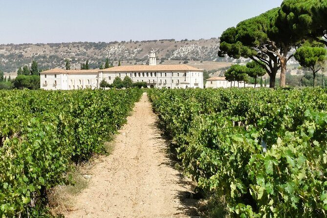 Premium Ribera del Duero tour with winemaker-guide - Logistics and Practical Details