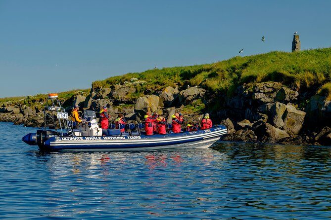 Premium Small-Group Puffin & Bird Watching tour from Reykjavík - Who Is This Tour Best For?