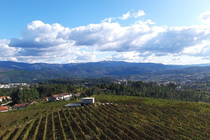 Premium Tasting | Quinta de Santa Cristina Vinho Verde - Key Points