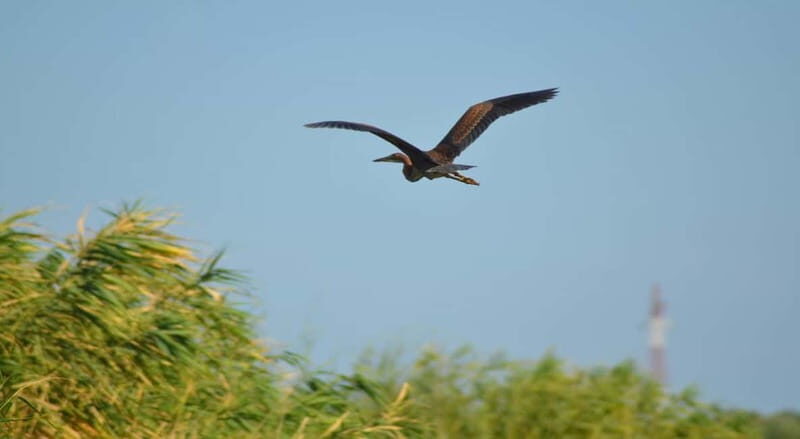 PREMIUM TOUR SMALL GROUP Bucharest-The Heart of Danube Delta - An Honest Breakdown of the Danube Delta Day Trip