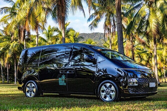 Premium Van, Private Transfer, Cairns Airport - Port Douglas. - Who Is This Service Best For?