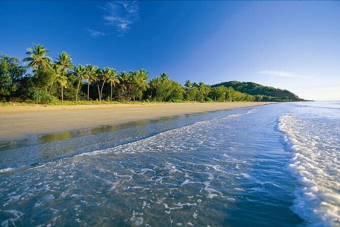 Premium Van, Private Transfer, Cairns Airport - Port Douglas. - The Sum Up