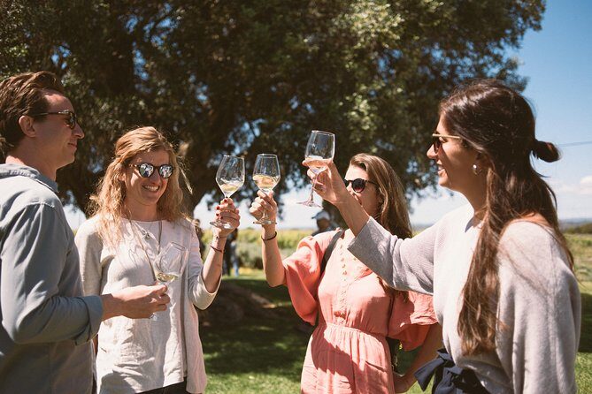 Premium Vineyard Tour & Tasting - Experience the Charm of Portugal’s Wines with the Premium Vineyard Tour & Tasting
