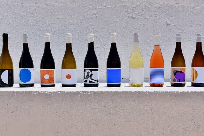 Premium Vineyard Tour & Tasting - Key Points