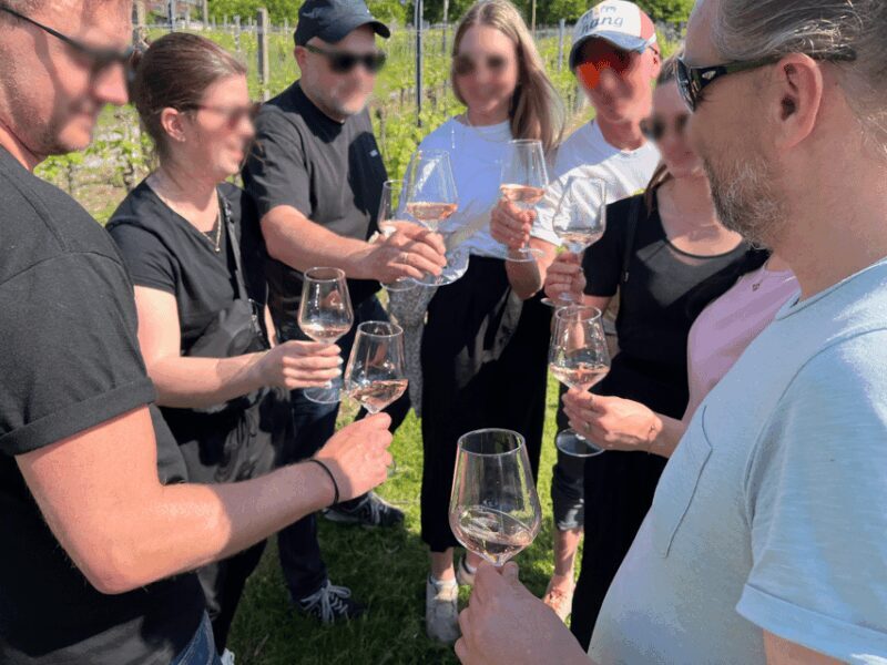 Premium wine hike Stuttgart with games and winemaker's snack - Key Points