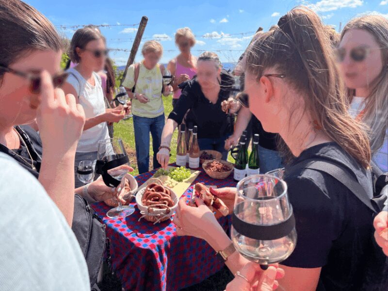 Premium wine hike Stuttgart with games and winemaker's snack - Transportation and Accessibility