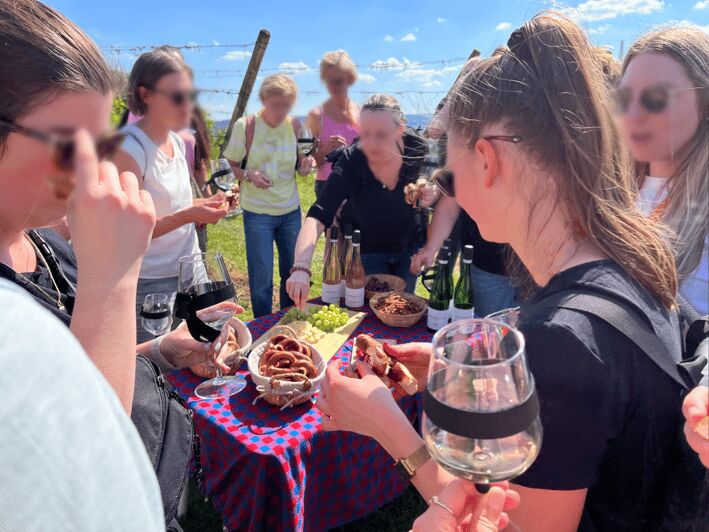 Premium wine hike Stuttgart with games and winemaker's snack - Who Should Consider This Tour?
