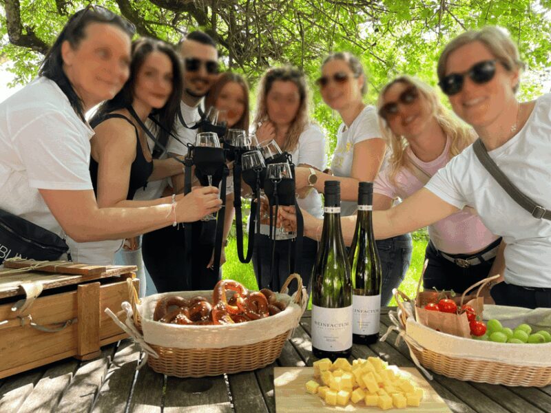Premium wine hike Stuttgart with games and winemaker's snack - FAQ