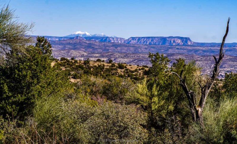 Prescott: Copper Canyon Hummer Tour - What We Like (and What to Keep in Mind)