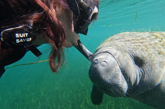 Preseason Special Snorkeling with Manatees Experience - FAQ