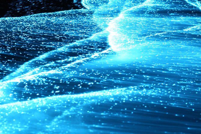 Preserving Baby Sea Turtles And Filling You With Energy In Bioluminescent Lights - FAQs