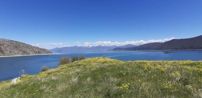 Prespa Lake: Pustec & Maligrad Island Boat Experience - Key Points