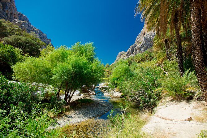 Preveli Beach & Palm Forest :Full-Day Tour with Lunch Box - FAQ